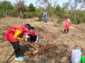 双清区龙须塘街道开展植树爱树护树活动