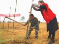 邵阳市政府办开展“义务植树、关爱自然”活动