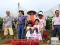 邵阳县双杏村发展特色产业助力乡村旅游
