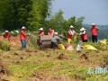 “草帽”志愿者帮贫困户收割稻谷