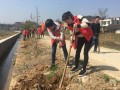 邵阳市残联志愿者积极开展义务植树活动