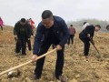 邵阳县塘渡口镇机关党支部义务植树添新绿