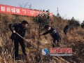 新邵县新田铺镇：义务植树共筑绿色生态家园