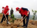 邵阳市中级人民法院到扶贫村开展植树活动