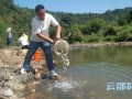 绥宁岩塘村10万尾鱼苗修复母亲河生态