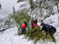 城步威溪乡：铲雪除冰保民生，齐心协力暖民心