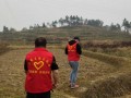 北塔区陈家桥镇：秸秆禁烧再发力 打好蓝天保卫战