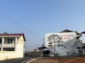 北塔区陈家桥镇：“十无”工作法引领人居环境整治 擦亮乡村振兴“新底色”