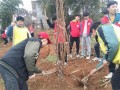武冈湾头桥镇中学开展义务植树志愿服务活动