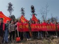 武冈湾头桥镇：开展“义务植树增新绿 共建生态换新颜”志愿服务活动