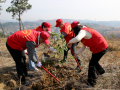 邵阳城投组织开展义务植树活动 为邵阳增美添绿