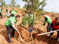 邵阳市干部群众参加义务植树活动