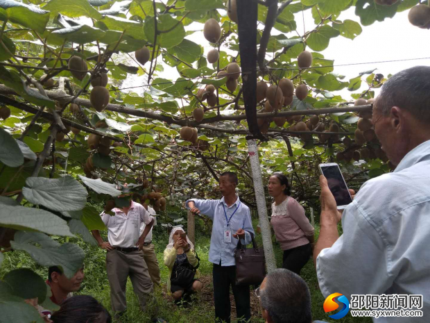 微信图片_20180810212410