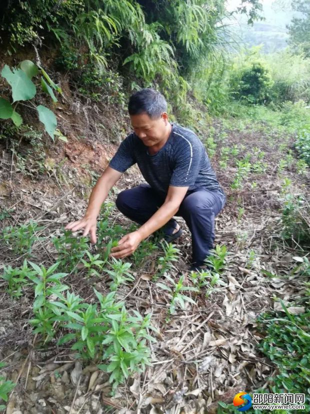 微信图片_20180906083413