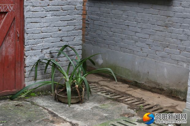 清理过的卫生死角