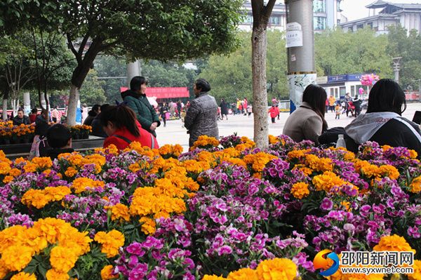 IMG_5150_副本_副本_副本