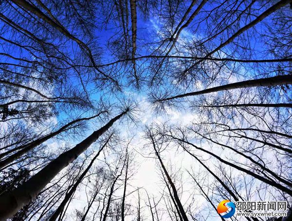 554e1b4fc38667ddbdccab05691abd1