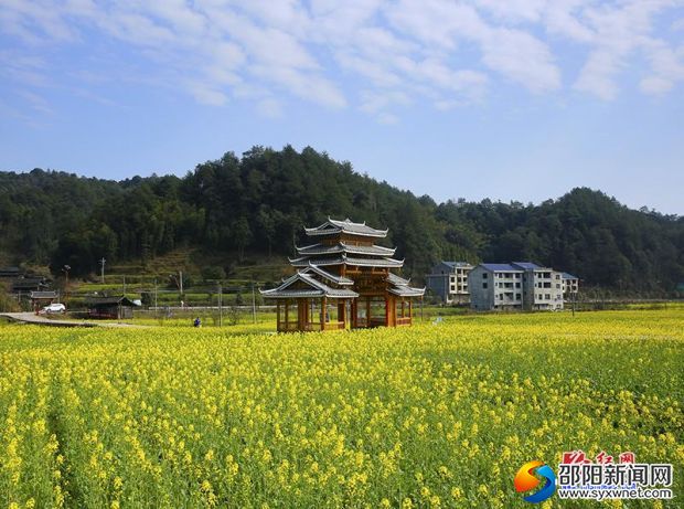 20190310224858129036