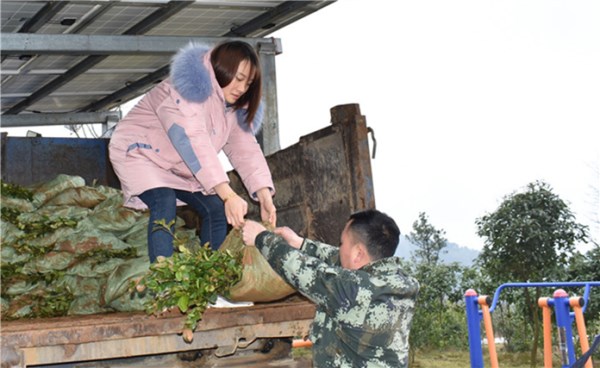 微信图片_20190311105731.jpg