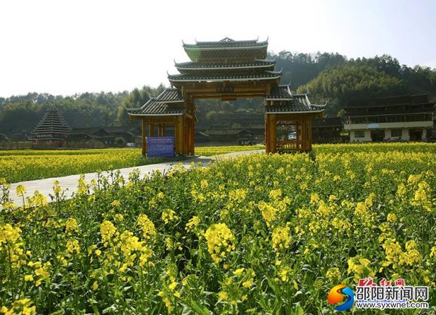 20190310225034796901