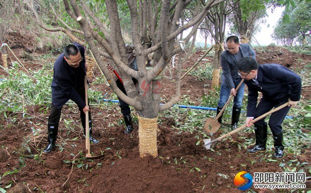 微信图片_20190318181705