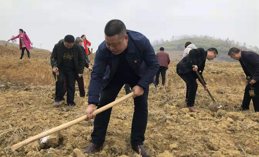 微信图片_20190315145449.jpg