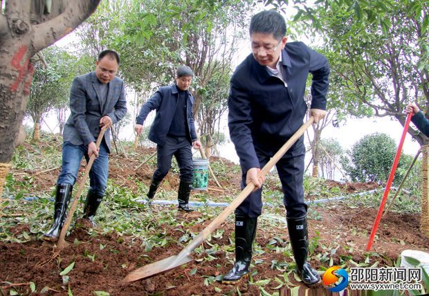 微信图片_20190318181715