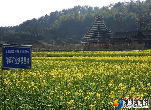 20190310225116542970