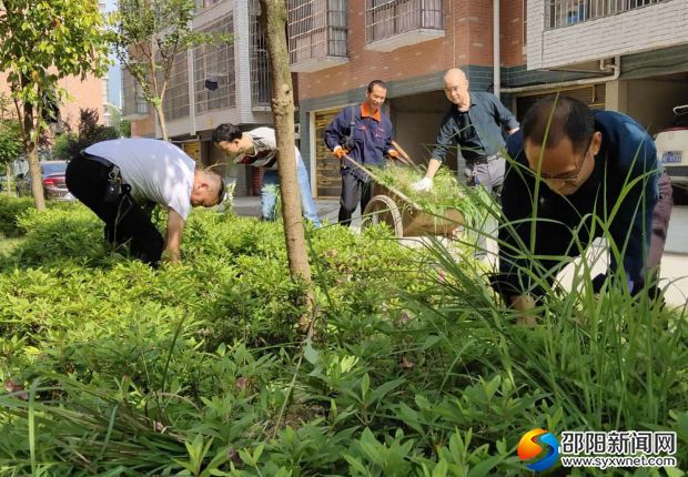 微信图片_20190501112523_副本