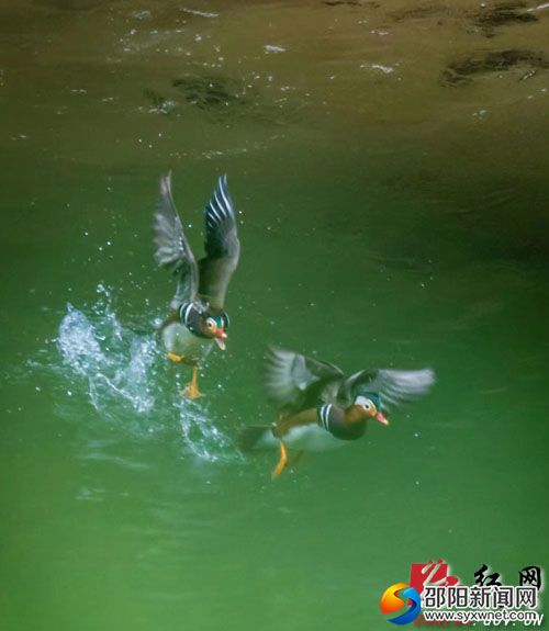 20190723111232734926