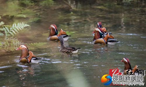 20190723111350317879