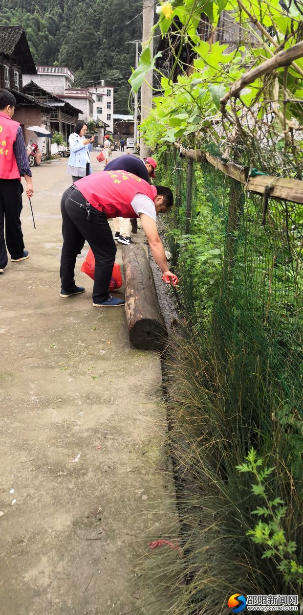 白毛坪镇志愿服务活动 