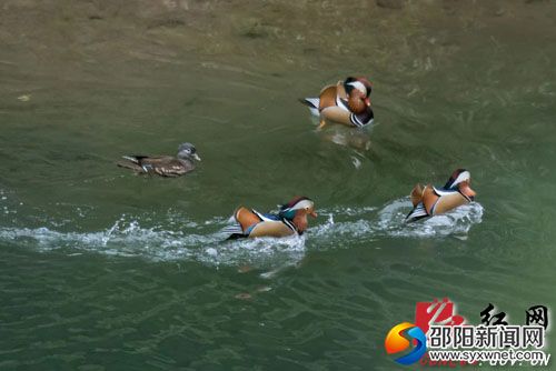 20190723111243411115