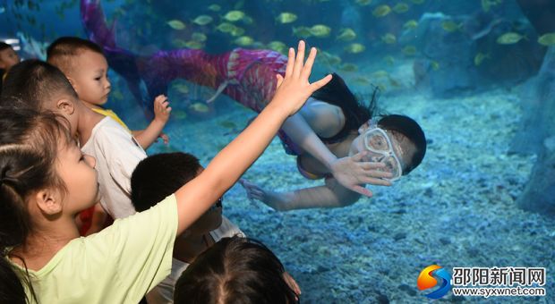 微信图片_20190818162300